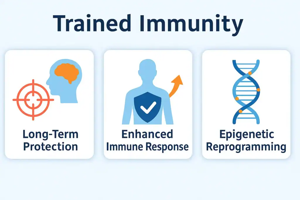 Scientific infographic comparing trained immunity and immune memory, showing innate cells with epigenetic markers and adaptive cells with long-term memory icons.